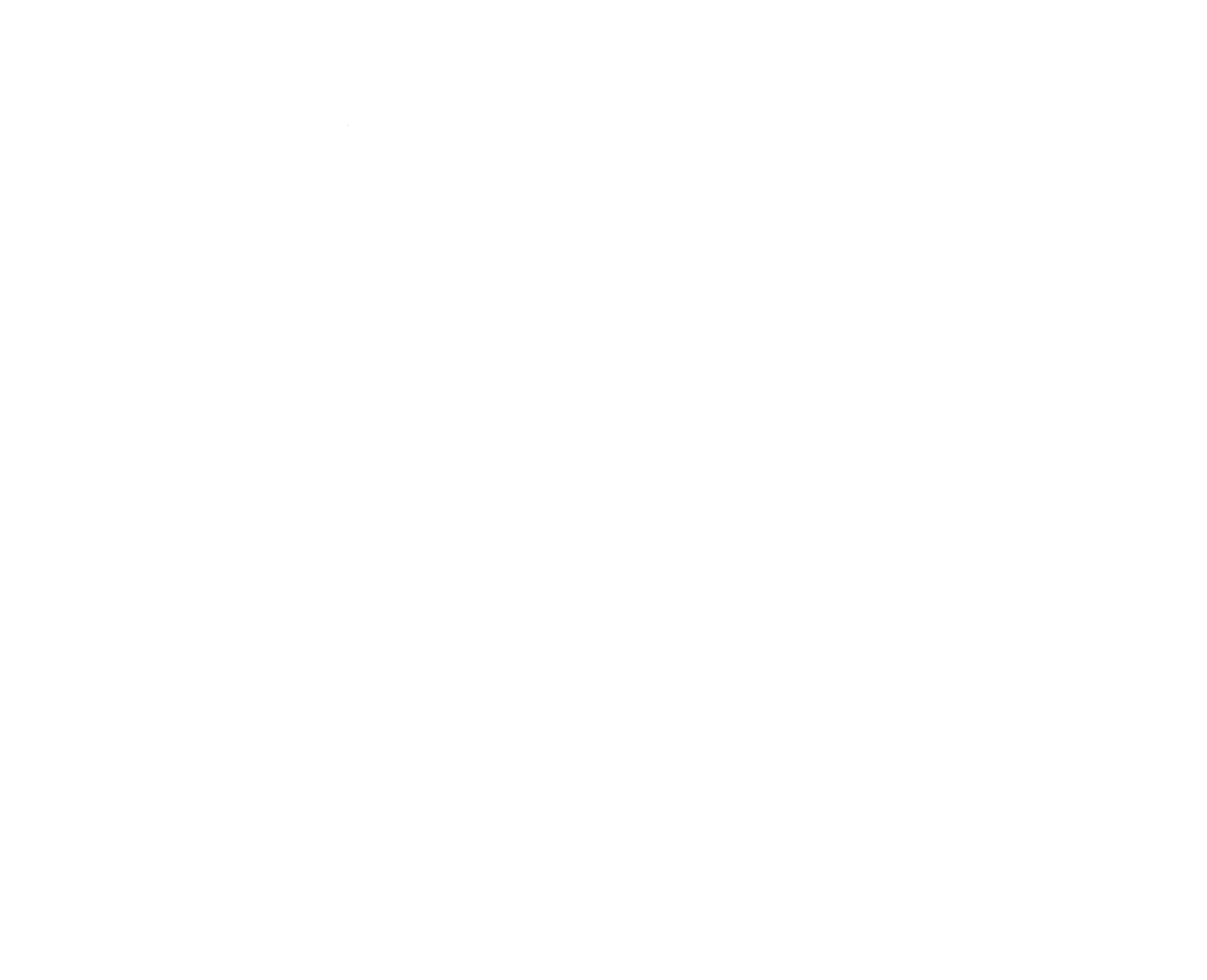 JEM%20Nuevo%20Logo_Blanco